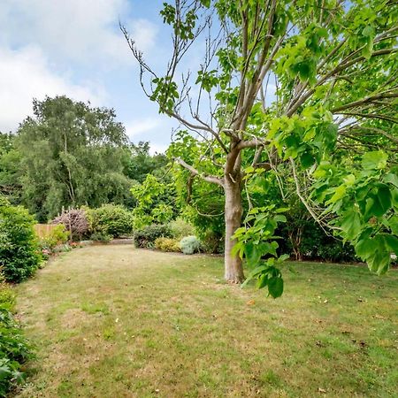 Little Thatch Lovely 2-Bed Near Weymouth Radipole Exterior photo